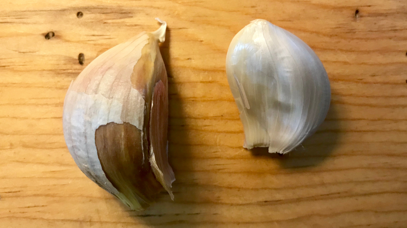 Hardneck garlic clove (left) vs. softneck garlic clove